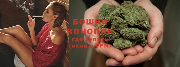 дурь Арсеньев