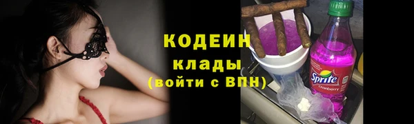 дурь Арсеньев