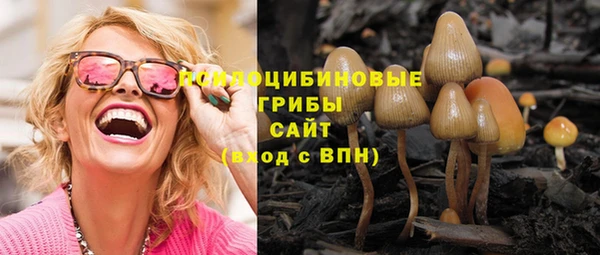 дурь Арсеньев