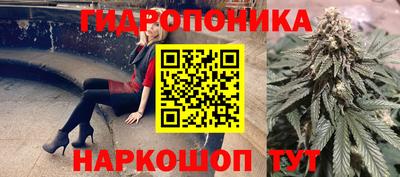 спиды Тара