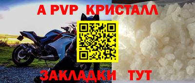 спиды Тара