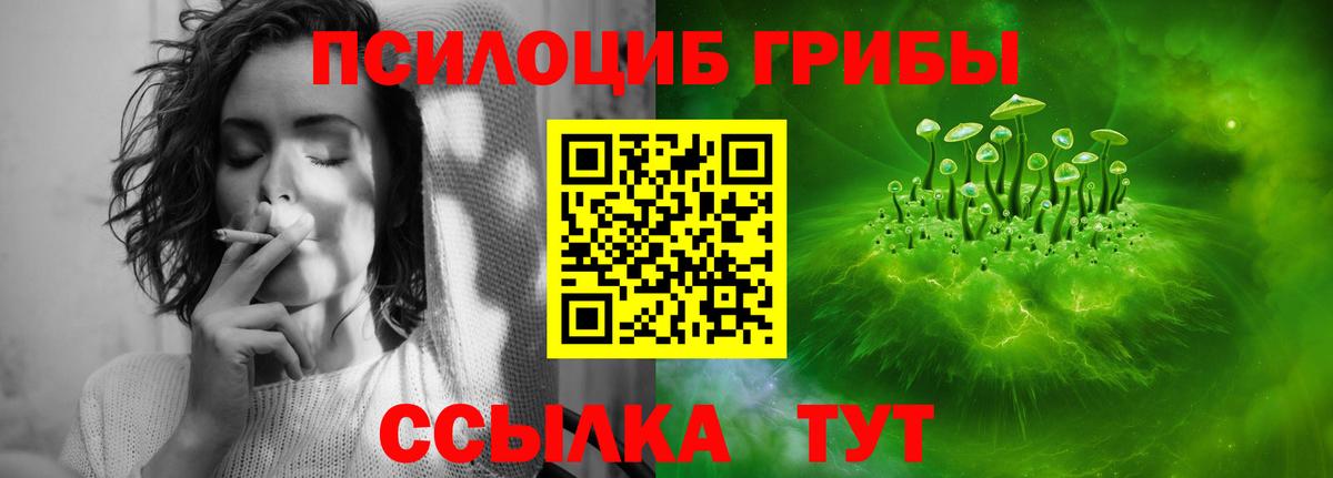 Псилоцибиновые грибы GOLDEN TEACHER Нурлат